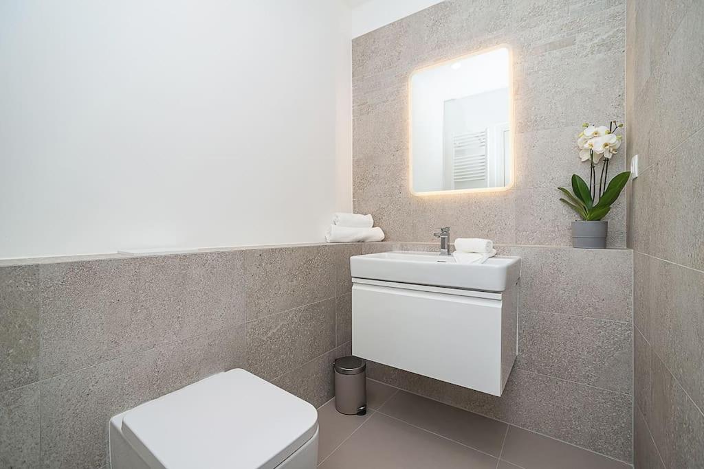 Apartmán High-class Rooftop Apt. With Spacious Terrace Praha